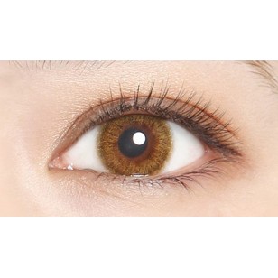 (EL1005)EverColor 1day LUQUAGE GlossAmber 10片裝